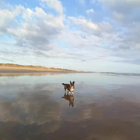 营地 Mobil Confort