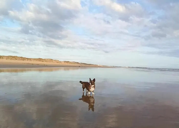 캠프장 Mobil Confort